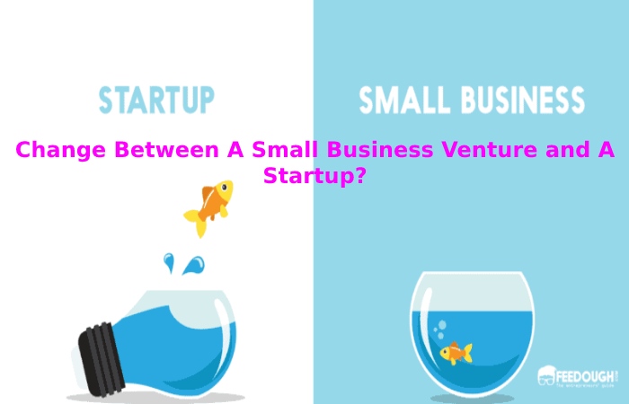 Change Between A Small Business Venture and A Startup_