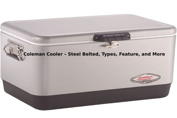 Coleman Cooler – Steel Belted, Types, Feature, and More