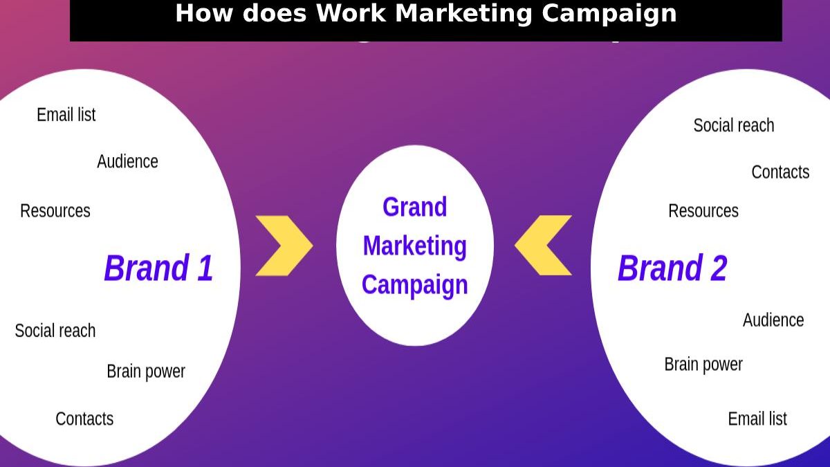 How does Work Marketing Campaign