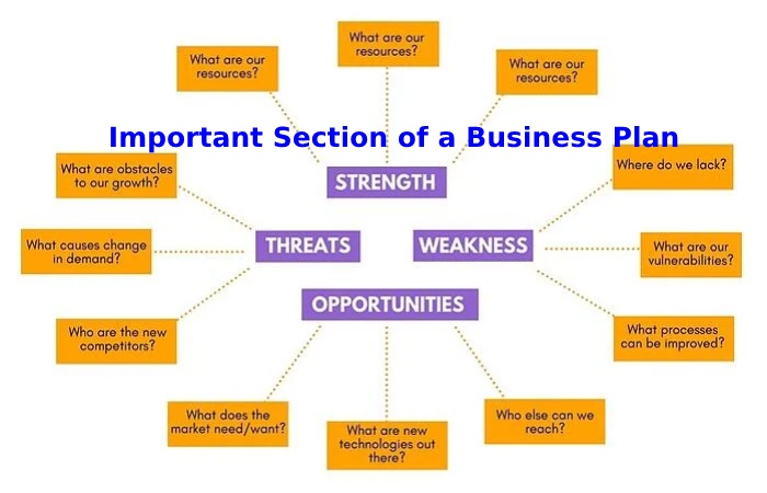 most important section in business plan