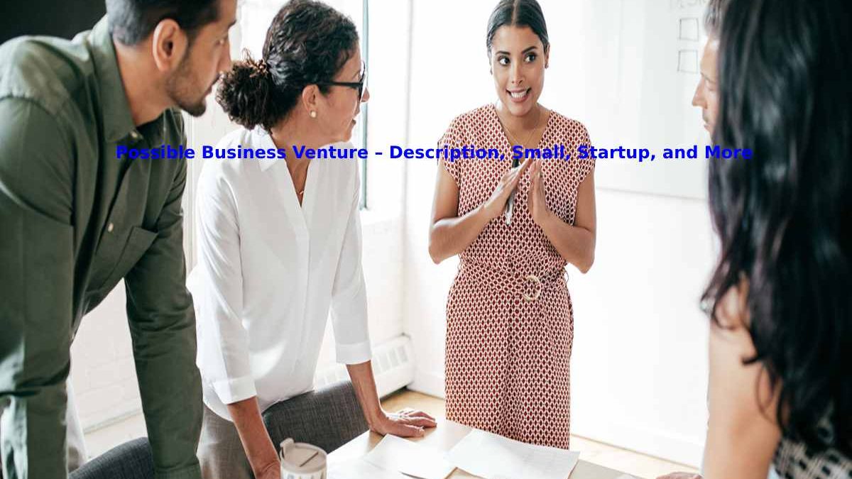 Possible Business Venture – Description, Small, Startup, and More