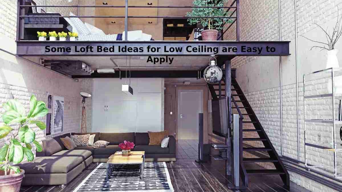 Some Loft Bed Ideas for Low Ceiling are Easy to Apply