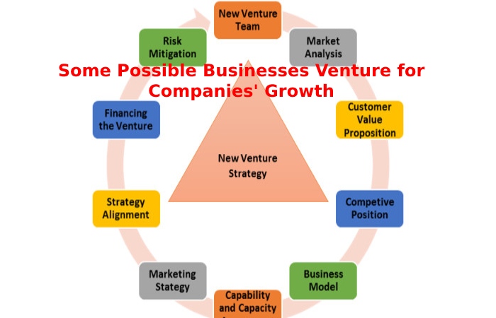 Some Possible Businesses Venture for Companies' Growth