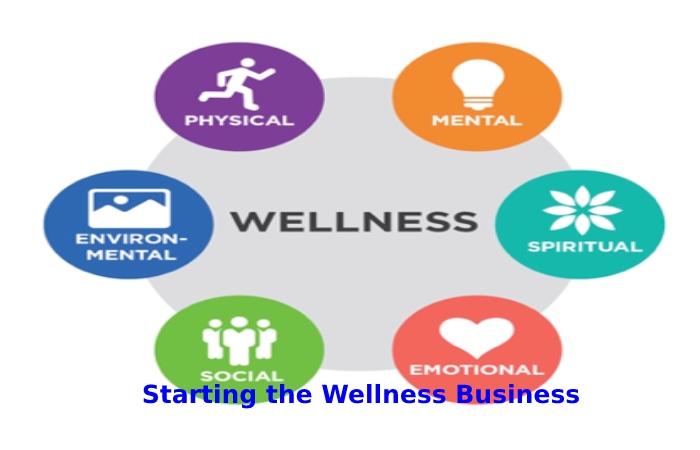 Starting the Wellness Business