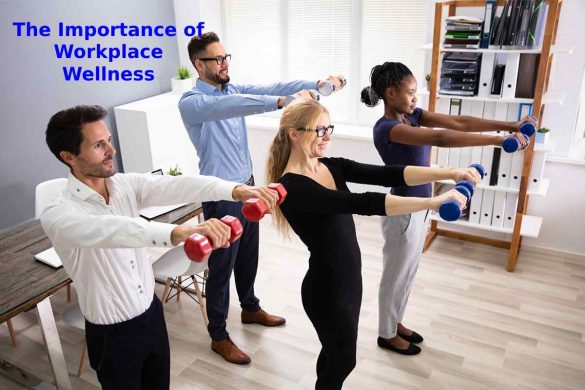 The Importance of Workplace Wellness