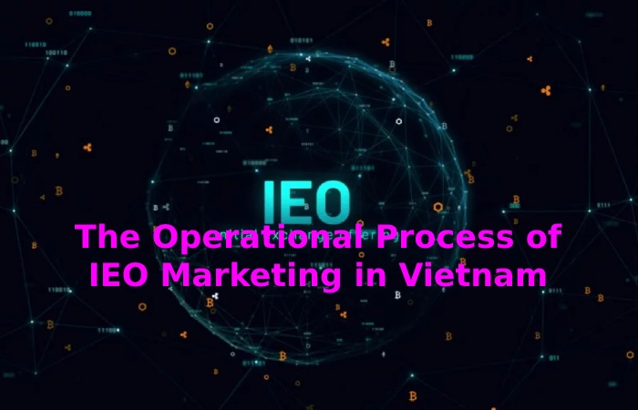 The Operational Process of IEO Marketing in Vietnam