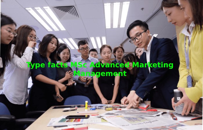 Type facts MSc Advanced Marketing Management