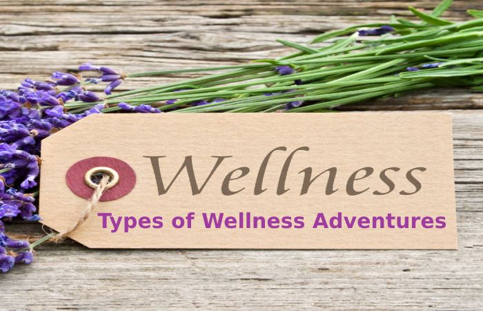 Types of Wellness Adventures