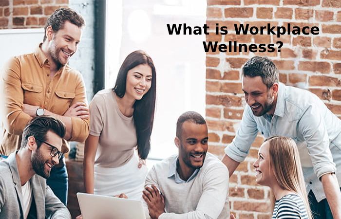 What is Workplace Wellness_