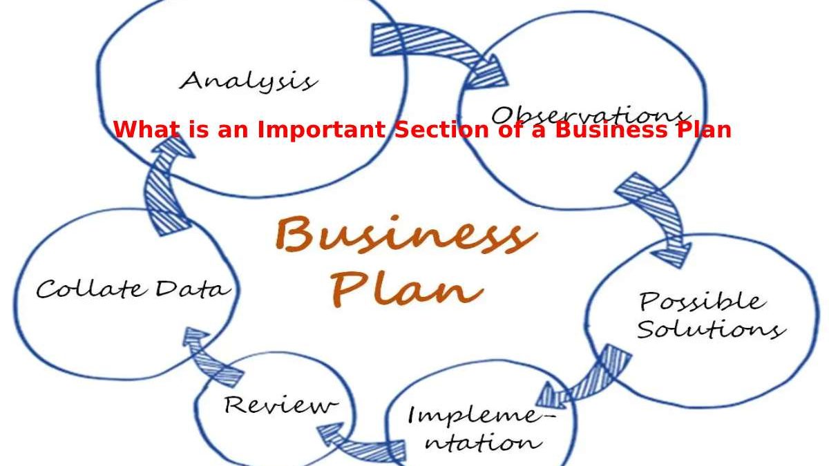 What is an Important Section of a Business Plan
