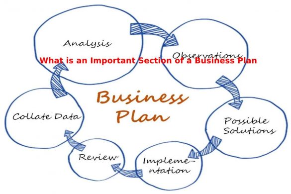 What is an Important Section of a Business Plan