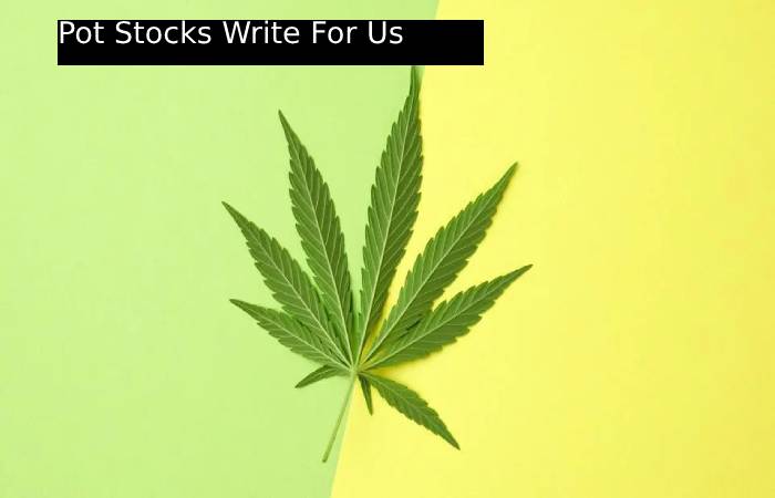 Pot Stocks Write For Us