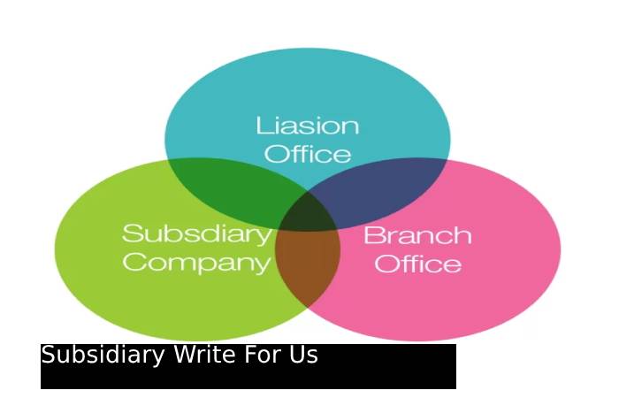 Subsidiary Write For Us