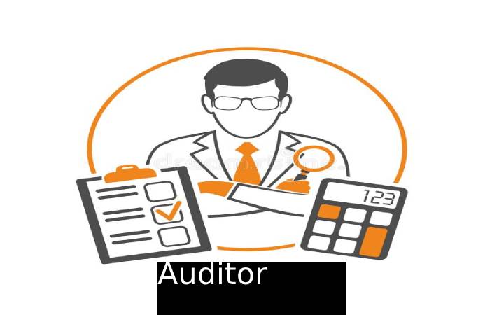 Auditor