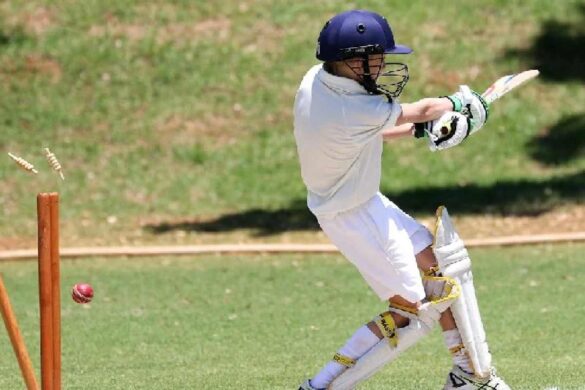 cricket 07 wheon.com