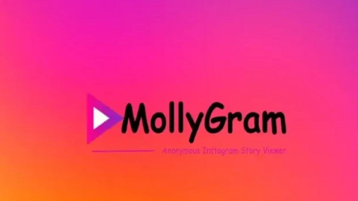 Why the Mollygram Story Viewer is My Secret Weapon for Sneaky IG Scrolling