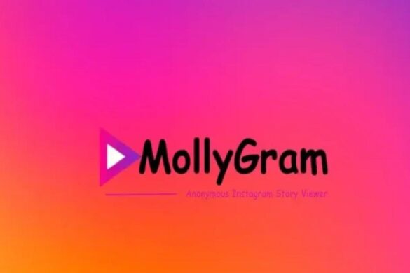 Mollygram Story Viewer